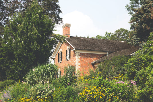 Attracting Wildlife to Your Fall Garden: Plants and Practices for a Biodiverse Space