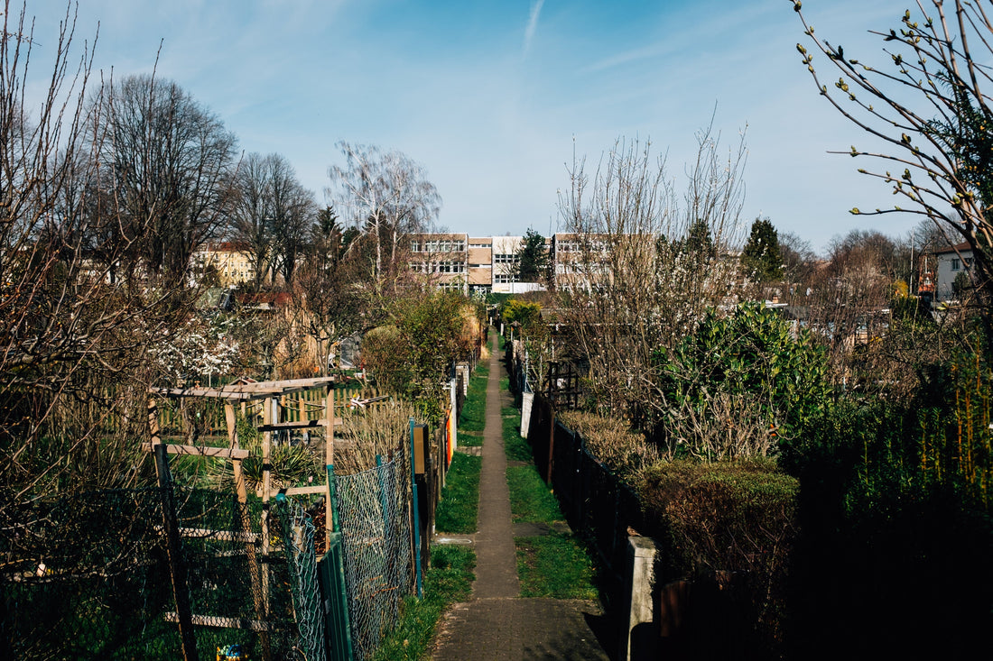 Transform Your Garden with Landscape Fabric: Benefits and Practical Tips